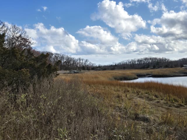 Beautiful Marshes