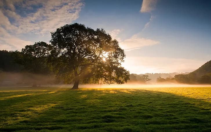 Welcome to Morning Light Landscaping!