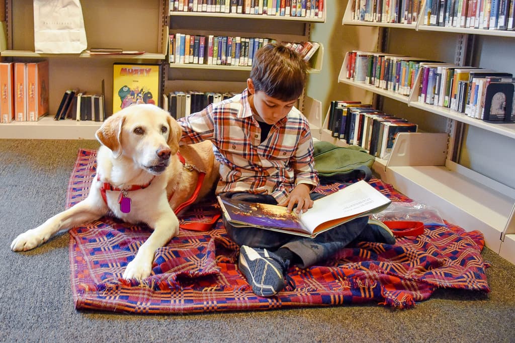 Read to a Dog: Therapy Pup George Library Visit