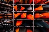 Kayaks