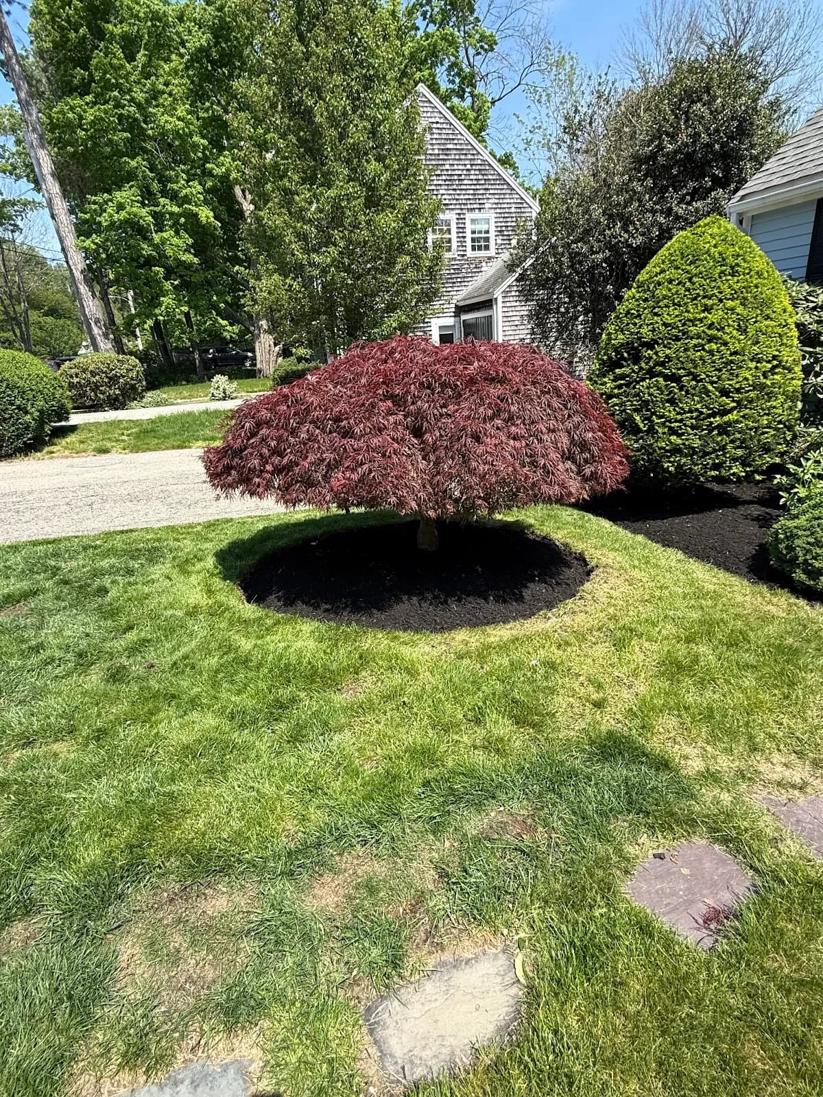 Morning Light Landscaping