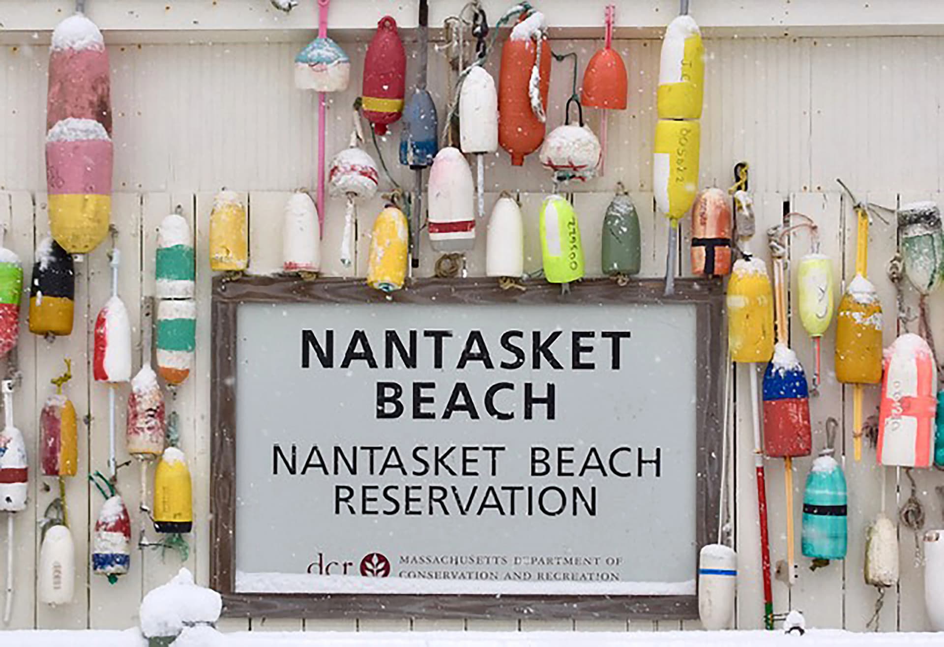 Through the Artist's Eye