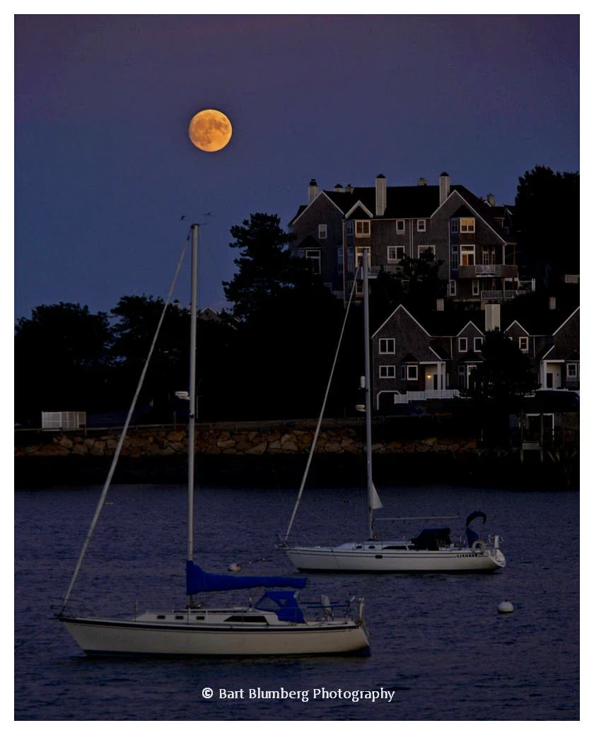 Spinnaker Island scene